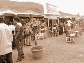 Feria EXPONORTE 2012 de Caranavi promueve potencial agropecuario, turismo, industria y artesanía