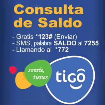 Cómo consultar saldo en Entel