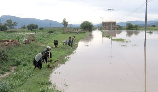 El clima afectó a aproximadamente a 1.800 familias del sur de Bolivia. El clima afectó a aproximadamente a 1.800 familias del sur de Bolivia.