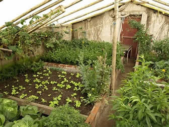 Carpa Solar en El Alto.