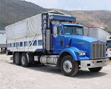 olivia y Argentina acordaron este lunes implementar detectores electrónicos al transporte de carga para un control eficaz