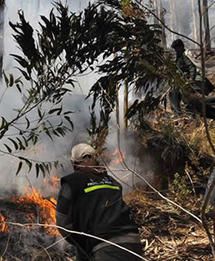Argentina ayudará a la mitigación de incendios en los departamentos de  Santa Cruz, Beni y Tarija
