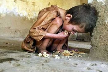 Día Mundial de la Alimentación se celebra hoy con la triste realidad de mil millones de personas desnutridas en el mundo.