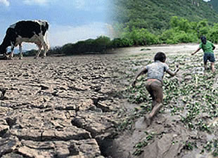 Intensas precipitaciones pluviales afectan al norte amazónico boliviano y una aguda sequía azota desde hace varias semanas a la región del altiplano y el chaco.