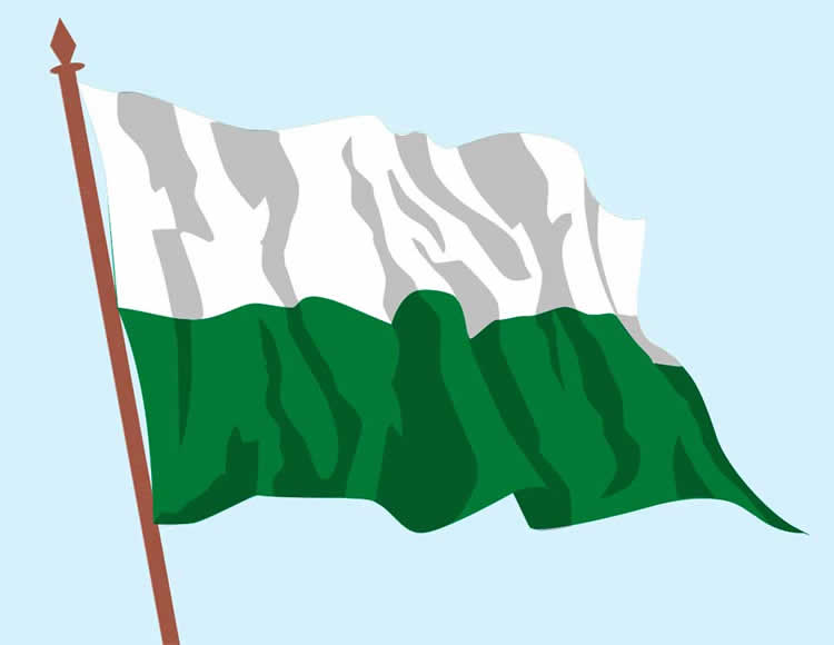 Bandera del departamento de Pando - Bolivia. Bandera del departamento de Pando- Bolivia.