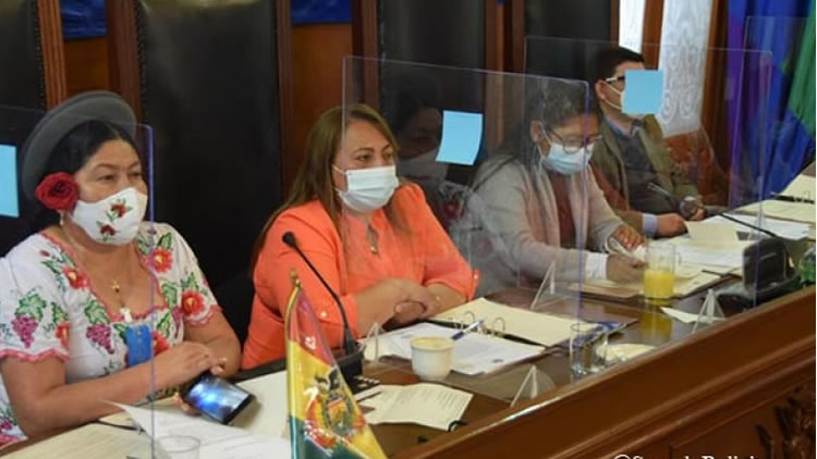 Camara de Senadores del Estado Plurinacional de Bolivia en sesión.