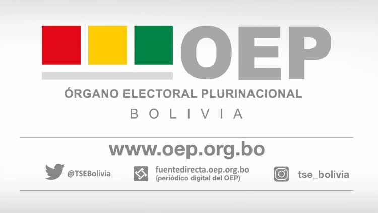 Tribunal Supremo Electoral (TSE) Tribunal Supremo Electoral (TSE)