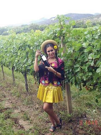 En los valles de Tarija se producen vinos y singanis