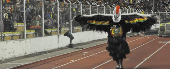 El cóndor boliviano