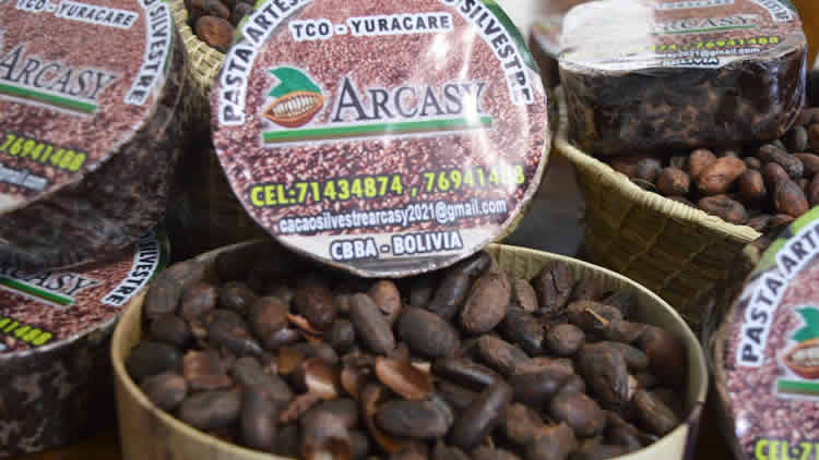 El Cacao boliviano en competencias internacionales.
