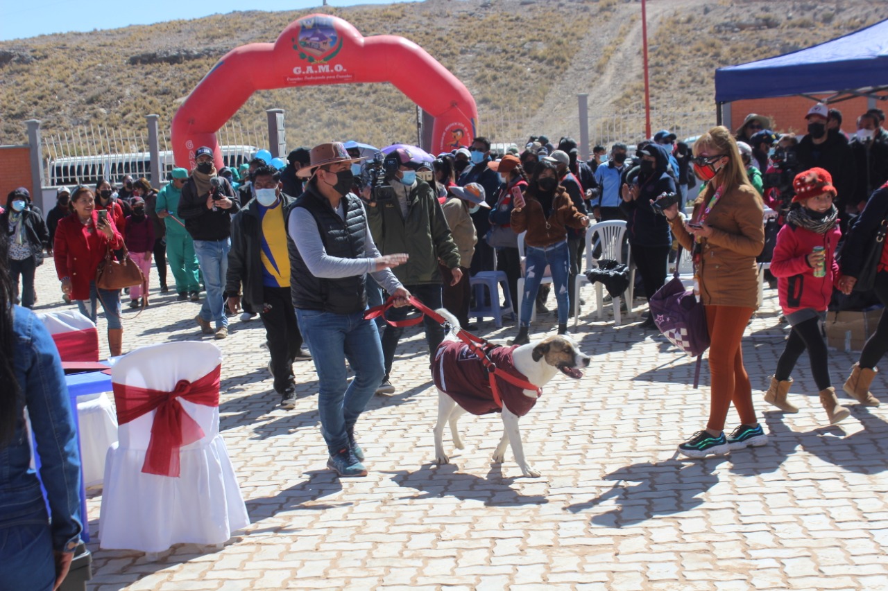 La empresa apoya al Gobierno Municipal de Oruro en la implementación del Albergue Municipal de Adiestramiento Anghelino, que alberga a perros y gatos abandonados
