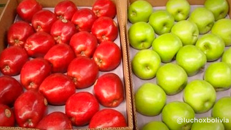 Modifican aranceles para importación de carne de pollo, leche en polvo, cacao, papa, tomate, cebolla, manzana y frutilla. Modifican aranceles para importación de carne de pollo, leche en polvo, cacao, papa, tomate, cebolla, manzana y frutilla.
