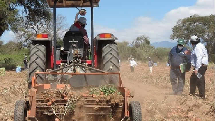 Reforma Agraria en Bolivia. Reforma Agraria en Bolivia.