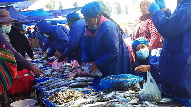 Venta de pescado en la ciudad de El Alto.