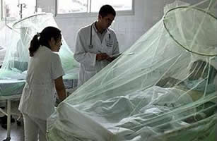 Dengue Hemorrágico