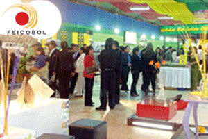 FEICOBOL