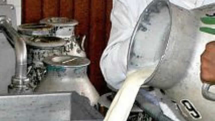 Día Nacional de la Leche en Bolivia es el 26 de octubre.