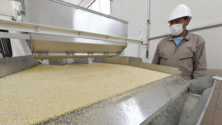 Exportaciones de quinua boliviana
