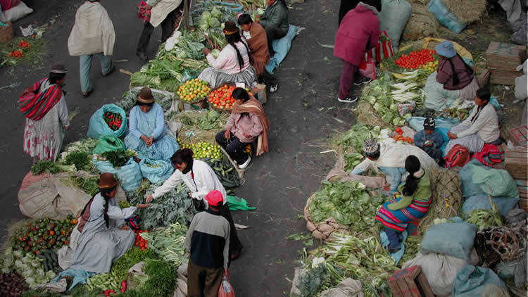 Constatan incremento de precios de las verduras en puestos de ventas en El Alto