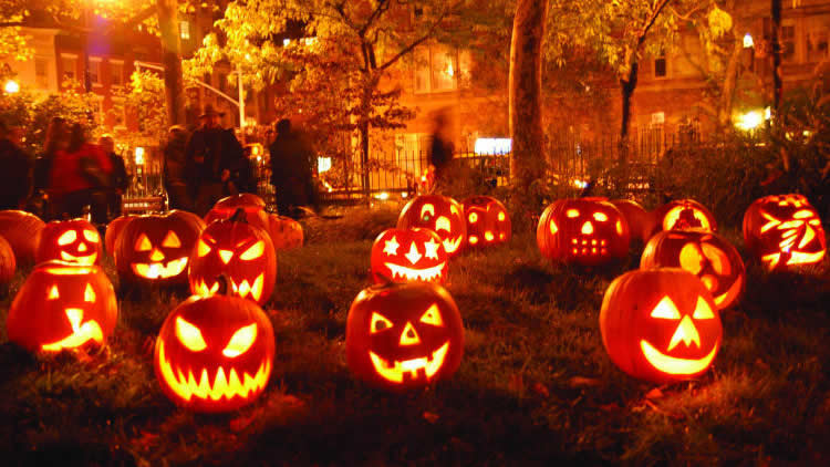 En Halloween: las calabazas iluminan el camino a los espíritus.