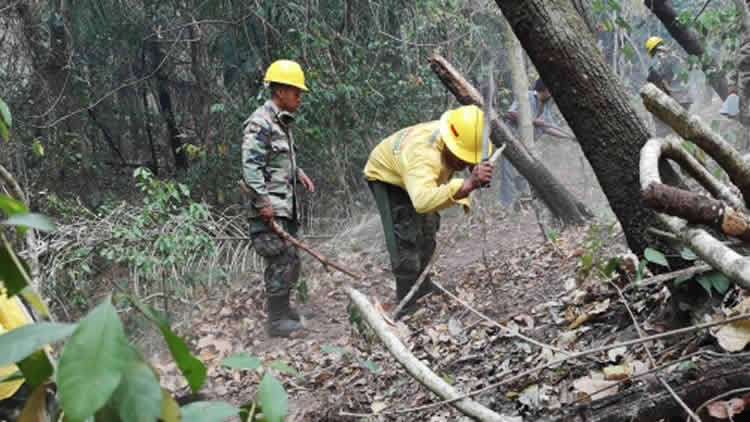 Trabajos para sofocar el incendio en la Chiquitania, en el departamento de Santa Cruz.