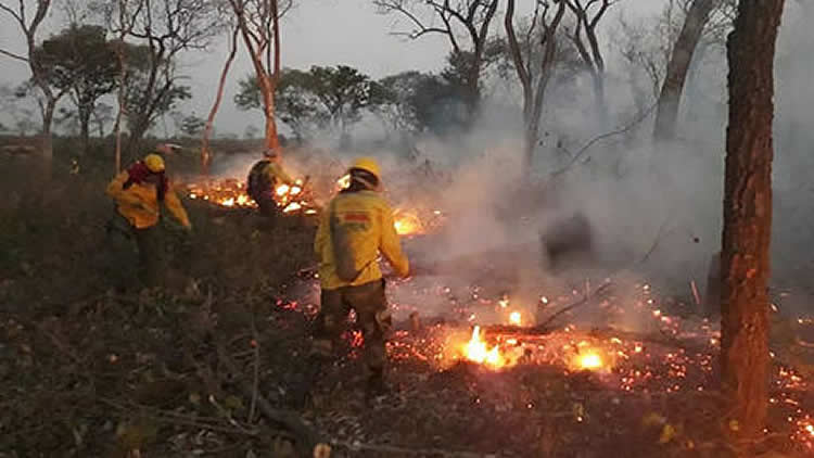 Realizan trabajos para tratar de mitigar el fuego en la Chiquitania, Santa Cruz.