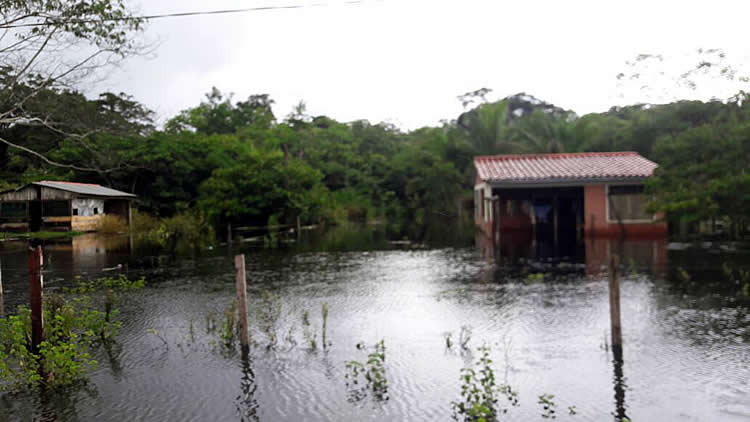 Inundaciones en el municipio de San Javier en el departamento de Beni.