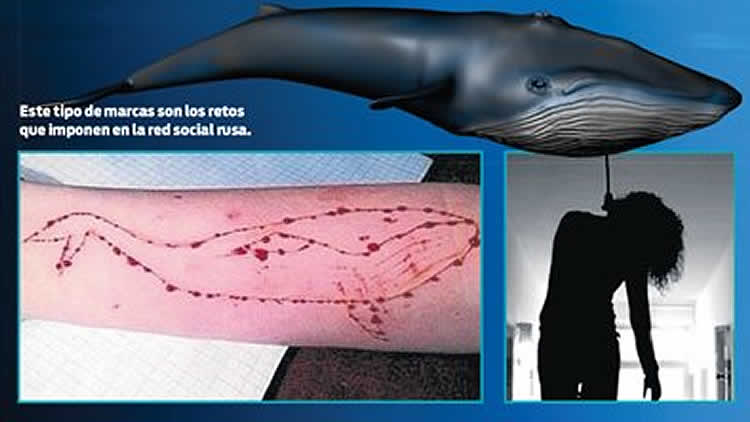 El reto del juego de la “ballena azul” los lleva directo a ¡la muerte! 