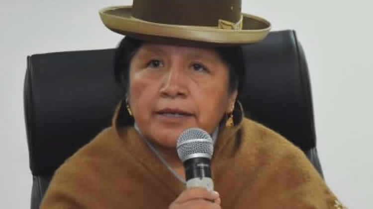 María Eugenia Choque, presidenta del Tribunal Supremo Electoral (TSE).