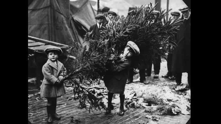 El mundo occidental celebra la Navidad desde los primeros años del cristianismo. El mundo occidental celebra la Navidad desde los primeros años del cristianismo.