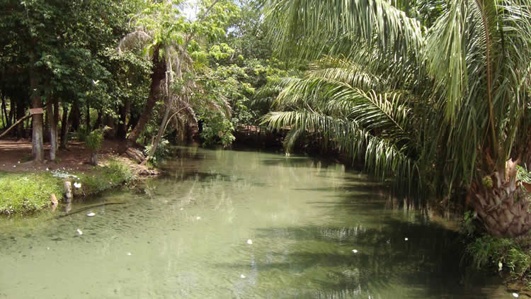 Roboré, Aguas calientes.