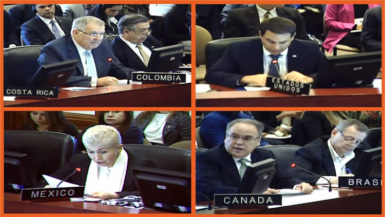 La OEA instaló la sesión extraordinaria del Consejo Permanente para tratar el caso boliviano.