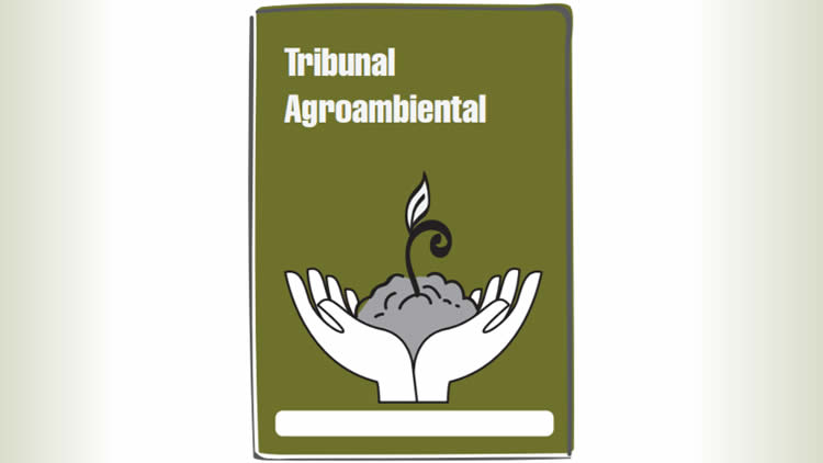 Tribunal Agroambiental (TA)