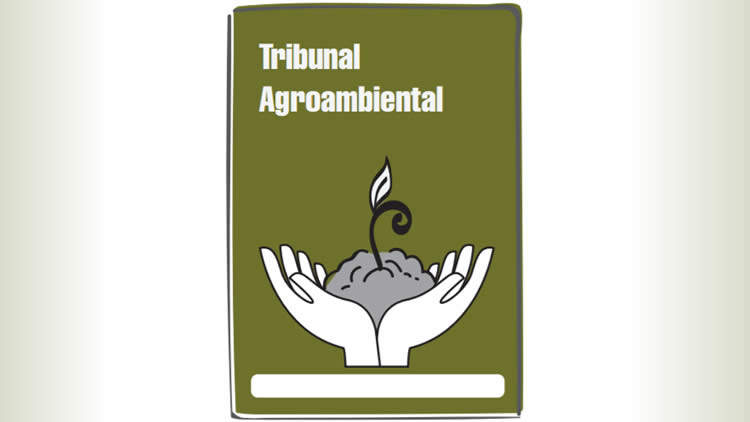 Tribunal Agroambiental