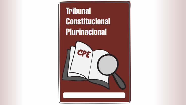 Tribunal Constitucional Plurinacional (TCP) 