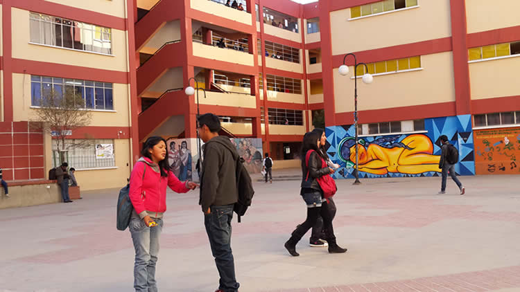 Universidad Pública de El Alto (UPEA)
