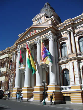 Asamblea Legislativa Plurinacional de Bolivia.