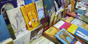 Biblioteca Vuela Vuela: Nuevo espacio de literatura infantil y juvenil