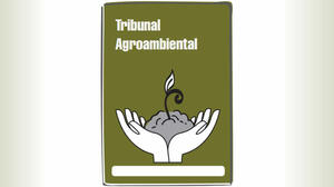 Magistrados del Tribunal Agroambiental (TA)