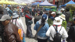 IV Feria Departamental de Semilla Certificada se realizará este sábado en El Alto 