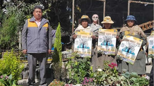 El Alto lanza campaña por el Día Nacional del Árbol