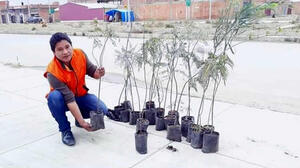 Guido Calcina celebra el Día del Árbol forestando para una mejor vida