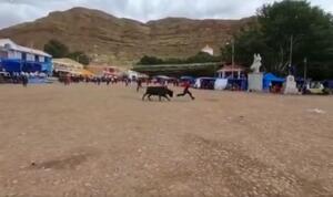 Corrida de toros en Caquiaviri deja más de 25 heridos 