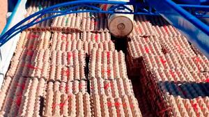 Comisan 186.000 huevos en intento de contrabando al Perú
