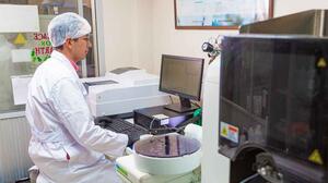 Ibmetro recomienda la compra de harina con más proteínas para Todos Santos