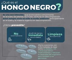Sospechan la llegada del hongo negro al norte de La Paz