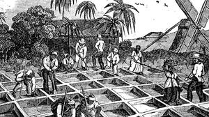 La abolición de la esclavitud en Bolivia en 1831 un hito histórico