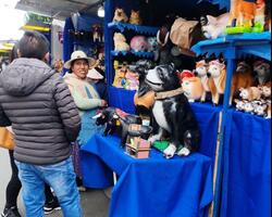 Alasitas permanece y son atractivos en El Alto 