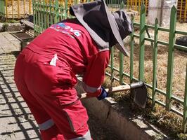 Jardineras de cuatro avenidas de la zona 16 de Julio lucen remozadas