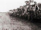 Paraguay y Bolivia: 77 años del fin de la Guerra del Chaco